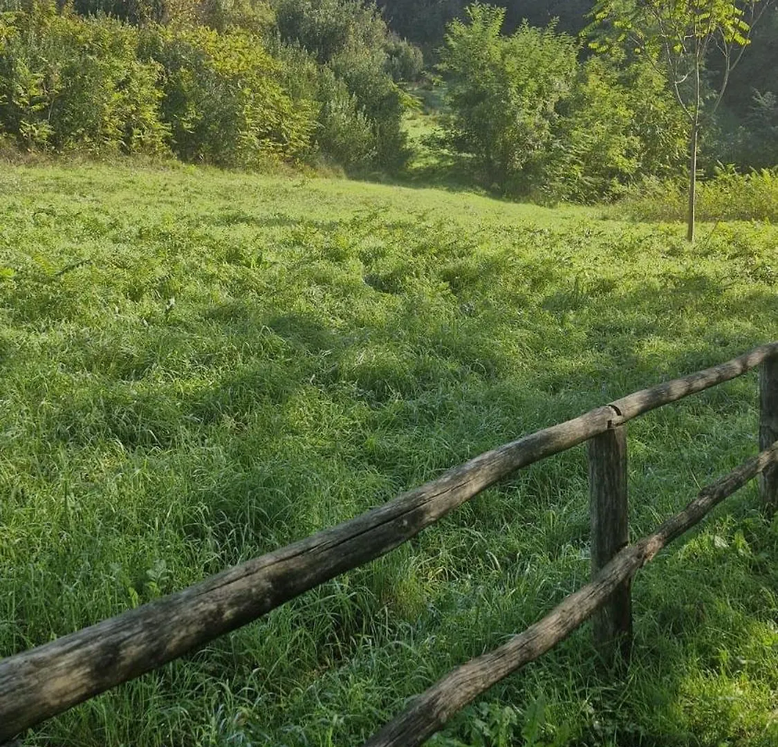 A Casa Di Di Apartamento Grassina Itália
